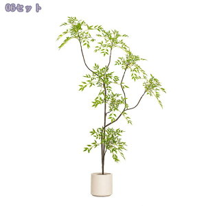 V| tFCNO[  lHϗtA ^ CeA ItBX zj R[i[ AȎ} Rȗt sv t Q̐SzȂ  2.0M RaogtCYU