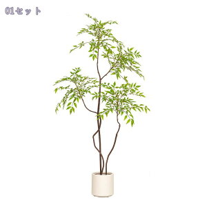 1000~OFFN[| ^ tFCNO[ {  CeA rO ItBX X܃fBXvC \t@ er{[h R[i[ Vbv Iȑ lH