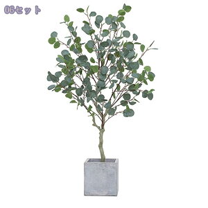 2000~OFFN[| [J tFCNO[ A ^ϗtA { p /rO/X܃fBXvC  ԉo y t sv Ce