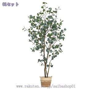 1000~OFFN[| lHϗtA [J tFCNO[  k [Jc[ lHA ^  Aؔt q CeA p rO ItBX O