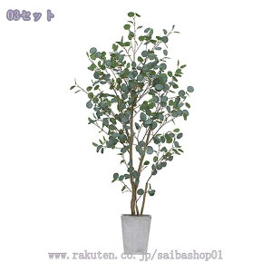 2000~OFFN[| lHϗtA [J tFCNO[  k [Jc[ lHA ^  Aؔt q CeA p rO ItBX O