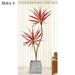 2000~OFFN[| lHϗtA tFCNO[  hZi t ^ CeA  A 㗖 tFCNO[ lHA  \t@/rO//