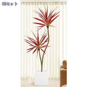 2000~OFFN[| tFCNO[ CeA ItBX  sv ͂Ȃ lHϗtA  rO X Bep GgX ̃tFX  ze ^A t