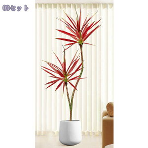 lHϗtA tFCNO[  hZi t ^ CeA  A 㗖 tFCNO[ lHA  \t@/rO//JtF RaogtCYU