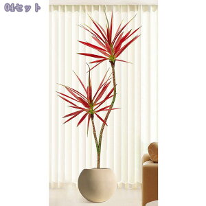 1000~OFFN[| tFCNO[ CeA ItBX  sv ͂Ȃ lHϗtA  rO X Bep GgX ̃tFX  ze ^A t