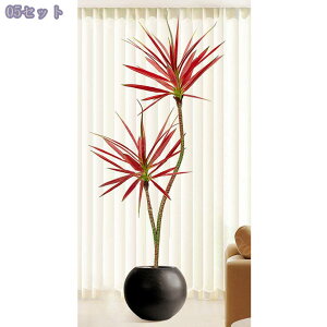 1000~OFFN[| tFCNO[ CeA ItBX  sv ͂Ȃ lHϗtA  rO X Bep GgX ̃tFX  ze ^A t