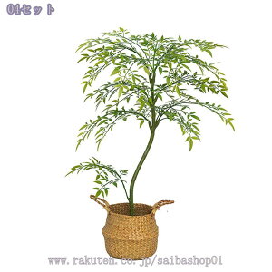 300~OFFN[| V| tFCNO[ ^A { A  rOE\t@EւɍœK  CeA i` sv Ή lHϗtA 