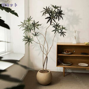 lHϗtA A CeA  ͂Ȃ t lHA ̎╗E ^tFCNO[ p ϗtA  a_ k i` 1.9M RaogtCYU