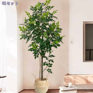 1000~OFFN[| K̖ tFCNO[ ^   lHϗtA CeAO[ yʃ^Cv t rO//Xܗp ͗lւ ԉo ͂Ȃ sv Mtg 