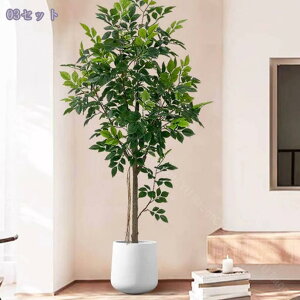 K̖ tFCNO[ ^   lHϗtA CeAO[ yʃ^Cv t rO//Xܗp ͗lւ ԉo ͂Ȃ sv Mtg 160CM RaogtCYU
