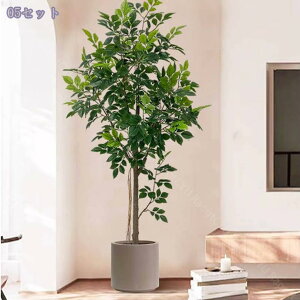 2000~OFFN[| K̖ tFCNO[ ^   lHϗtA CeAO[ yʃ^Cv t rO//Xܗp ͗lւ ԉo ͂Ȃ sv Mtg 