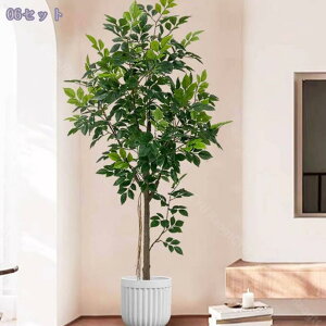 2000~OFFN[| K̖ ^ tFCNO[ ̎╗ CeAlHϗtA A ^ t ԉo ErOEցEItBXɍœK ͂Ȃ ԕsv 