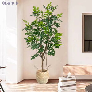 2000~OFFN[| tFCNO[ ^ CeA { ̎╗ AȎ /rO//zẽr[/X ͗lւ |ɂ ANZg p[e[V ȒPړ 