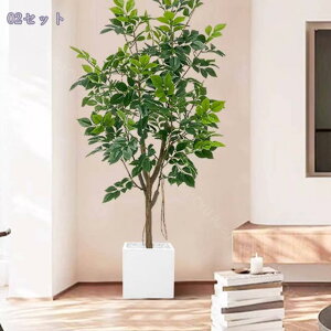 2000~OFFN[| tFCNO[ ^ CeA { ̎╗ AȎ /rO//zẽr[/X ͗lւ |ɂ ANZg p[e[V ȒPړ 