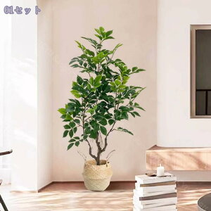 1000~OFFN[| tFCNO[  lHϗtA ^ CeA ItBX zj R[i[ AȎ} Rȗt sv t Q̐SzȂ  