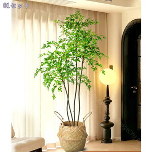 1000~OFFN[| tFCNO[ ^ CeA _  zer[ W rO ItBX JtF \t@ t I[V[Y lHϗtA Mtg 