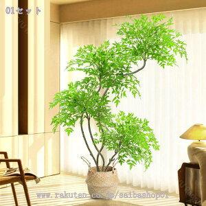 1000~OFFN[| ^ tFCNO[ N₩ȗtF  lHϗtA p r[EցErOEaEItBXɍœK ȒPݒu Ԃ炸̃O[  CeA