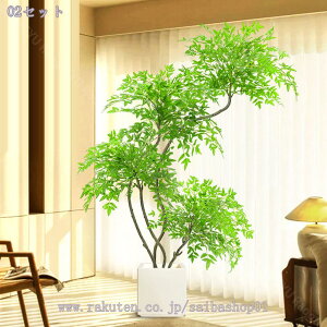 lHϗtA O 180cm tFCNO[ ϗt pL rO   ItBX CeA A  ^ y ϗtp  A lH  O[ Mtg RaogtCYU