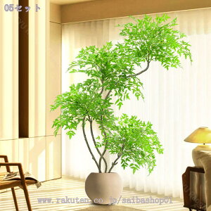 lHϗtA O 180cm tFCNO[ ϗt pL rO   ItBX CeA A  ^ y ϗtp  A lH  O[ Mtg RaogtCYU