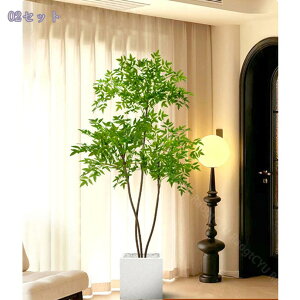 ie̖ lHϗtA A CeA  ͂Ȃ t lHA ̎╗ ^tFCNO[ p  a_ k i` 1.6M RaogtCYU