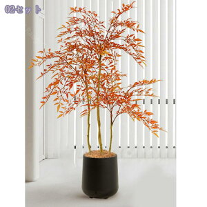 1000~OFFN[| ^ tFCNO[ {  CeA lHϗtA rO ItBX X܃fBXvC \t@ er{[h R[i[ Vbv I