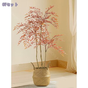 tFCNO[ ^ lHϗtA CeA  CeAO[ ͋Co sv p ItBX rO/ւɍœK t  1.2M RaogtCYU