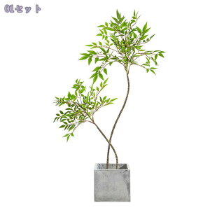 1000~OFFN[| tFCNO[ V| lHϗtA p CeAO[  t i` _EkEN[ CeAɍœK ͂Ȃ rO⌺ւɂ