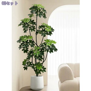 1000~OFFN[| tFCNO[ ^ VFt lHϗtA J|bN lHϗtA tFCNO[ lHϗt CeA pL ւItBXɂ҂ A s