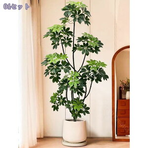 2000~OFFN[| tFCNO[ ^ VFt lHϗtA J|bN lHϗtA tFCNO[ lHϗt CeA pL ւItBXɂ҂ A s