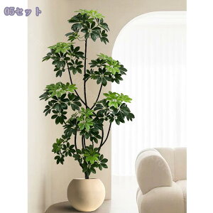 tFCNO[ ^ VFt lHϗtA J|bN lHϗtA tFCNO[ lHϗt CeA pL ւItBXɂ҂ A sv ȒPݒu 17