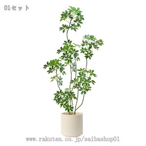 2000~OFFN[| tFCNO[ ^ oL p CeAO[ y  t rOEցEItBXɍœK sv ȒP ԉo lHϗtA 