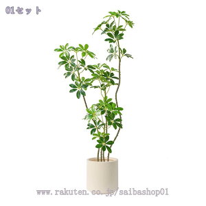 1000~OFFN[| tFCNO[ ^A { A  rOE\t@EւɍœK  CeAO[ i`sv Ή lHϗtA 