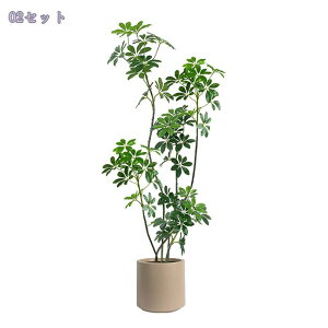 A tFCNO[ ^ lHϗtA t p CeAO[ y u₷ qԁEItBXEJtFɍœK Ԃ炸 N₩ȗtF bNXԂ Ύ Raogt