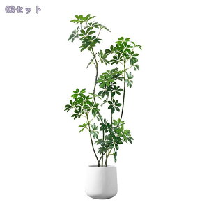 tFCNO[ ^A { A  rOE\t@EւɍœK  CeAO[ i`sv Ή lHϗtA 160CM RaogtCYU