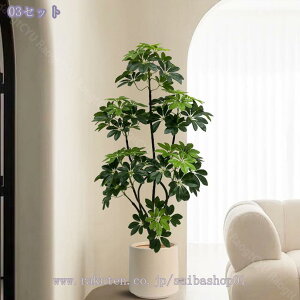 1000~OFFN[| ^tFCNO[ oL p lH ͋C rO ItBX \t@  i CeAɂ҂ ԉo A lHϗt