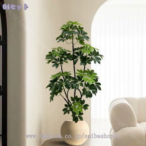 1000~OFFN[| ^tFCNO[ oL p lH ͋C rO ItBX \t@  i CeAɂ҂ ԉo A lHϗt