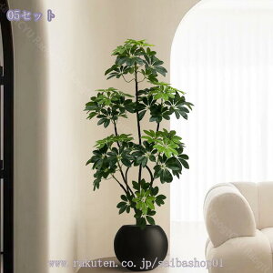 2000~OFFN[| ^tFCNO[ oL p lH ͋C rO ItBX \t@  i CeAɂ҂ ԉo A lHϗt