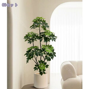 2000~OFFN[| ^tFCNO[ oL p lH ͋C rO ItBX \t@  i CeAɂ҂ ԉo A lHϗt