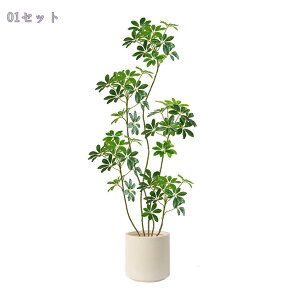 lHϗtA ^ CeA gsJ k  tFCNO[  rO ItBX X   ze r[ Ϗܗp fR[V u t 180CM Rao