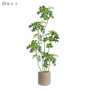 1000~OFFN[| lHϗtA ^ CeA gsJ k  tFCNO[  rO ItBX X   ze r[ Ϗܗp fR[V u 