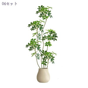 2000~OFFN[| lHϗtA ^ oL A {   rO   R̕ Ǝ{ i` R[i[Xy[X sv A tFCNO[