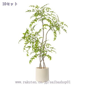 1000~OFFN[| lHϗtA ^  u ͂Ȃ rO ItBX Xܑ   CeAɉfO[ DIY z[fR[V  tFCNO[ Ϗܗp 