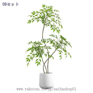 2000~OFFN[| lHϗtA ^  u ͂Ȃ rO ItBX Xܑ   CeAɉfO[ DIY z[fR[V  tFCNO[ Ϗܗp 