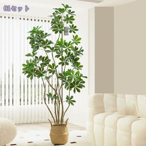 2000~OFFN[| tFCNO[ ^ VFt lHϗtA J|bN CeAO[ p rOEցEQ p ϗtA CeA t sv 