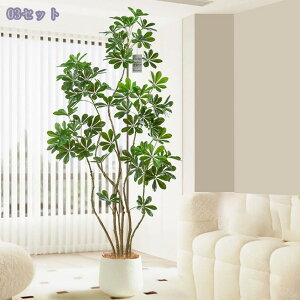 2000~OFFN[| tFCNO[ ^ VFt lHϗtA J|bN CeAO[ p rOEցEQ p ϗtA CeA t sv 