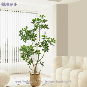 1000~OFFN[| lHϗtA J|bN ^ CeAO[  Aȗt Ϗܗp ԉo  q JtFCeA   t Cɂ y