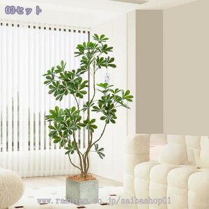 2000~OFFN[| tFCNO[ J|bN ^ ϗtA  lHϗtA ^ CeAO[ yʃ^Cv t rOEցEXܗp  ԃO[ ͗lւ 