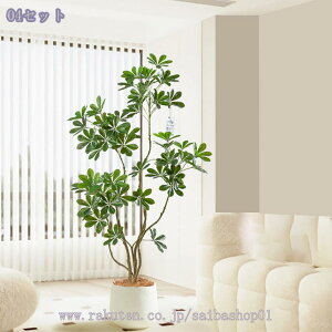 2000~OFFN[| tFCNO[ J|bN ^ ϗtA  lHϗtA ^ CeAO[ yʃ^Cv t rOEցEXܗp  ԃO[ ͗lւ 