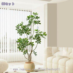 1000~OFFN[| tFCNO[ J|bN ^ ϗtA  lHϗtA ^ CeAO[ yʃ^Cv t rOEցEXܗp  ԃO[ ͗lւ 