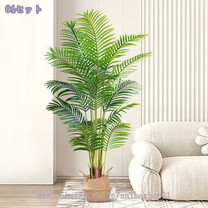 2000~OFFN[| tFCNO[ ^ Mт̃V̖ lHϗtA CeAO[ p rOEցEQ ϗtA CeA t sv ԉoɍ